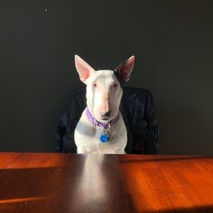 MissMason - PoshAF! (Kidding. New Here!)